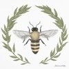 kensington_bee